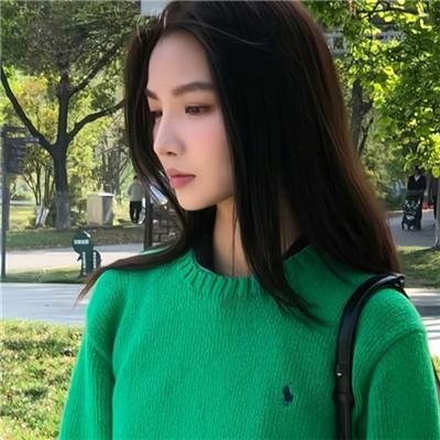 菊石